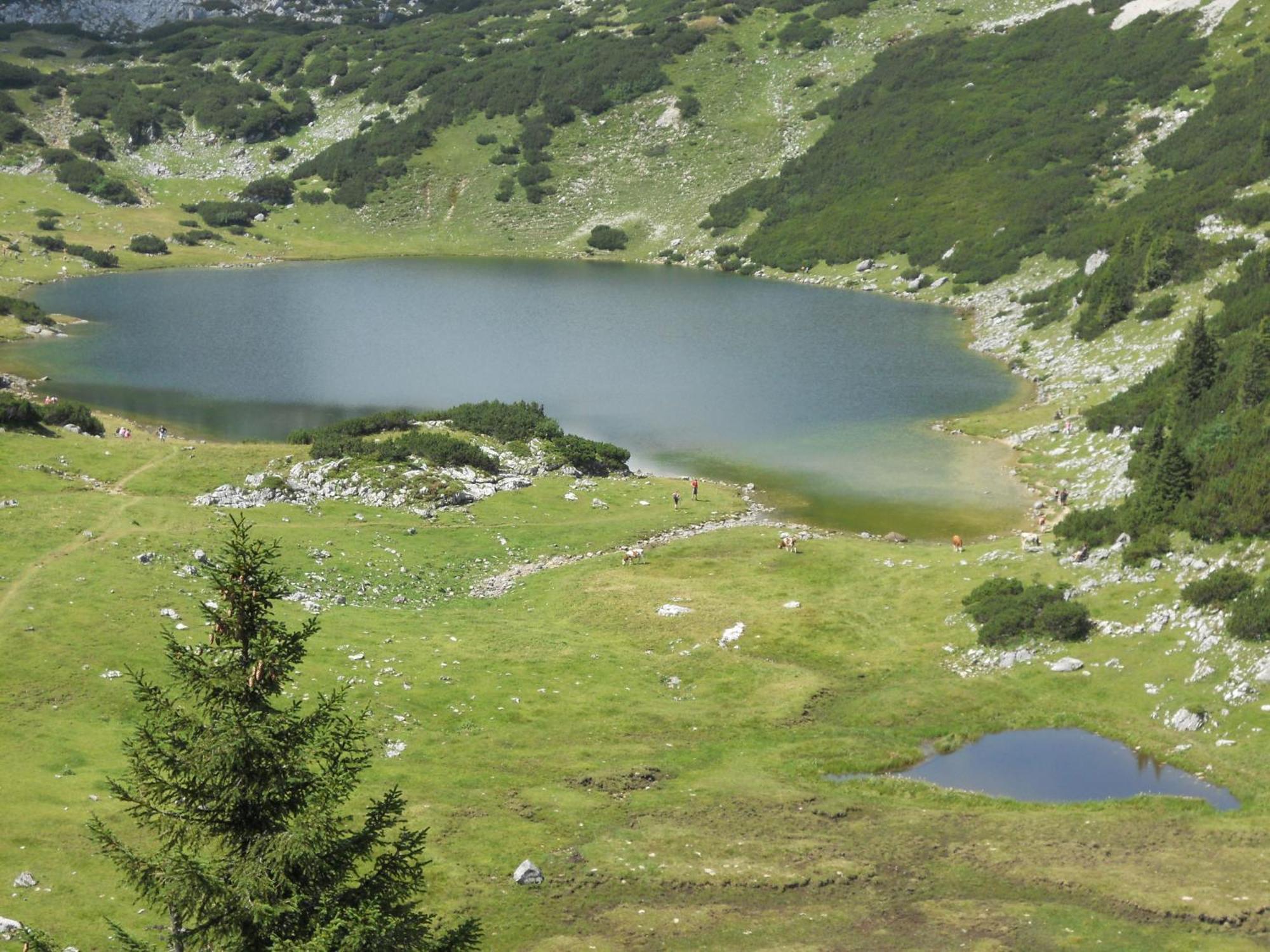 Landgasthof Pfarrwirt Hotel Thiersee Luaran gambar